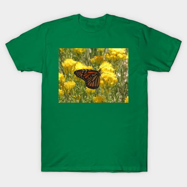 Butterfly, wildlife, gifts, butterflies, Nature Speaks T-Shirt by sandyo2ly